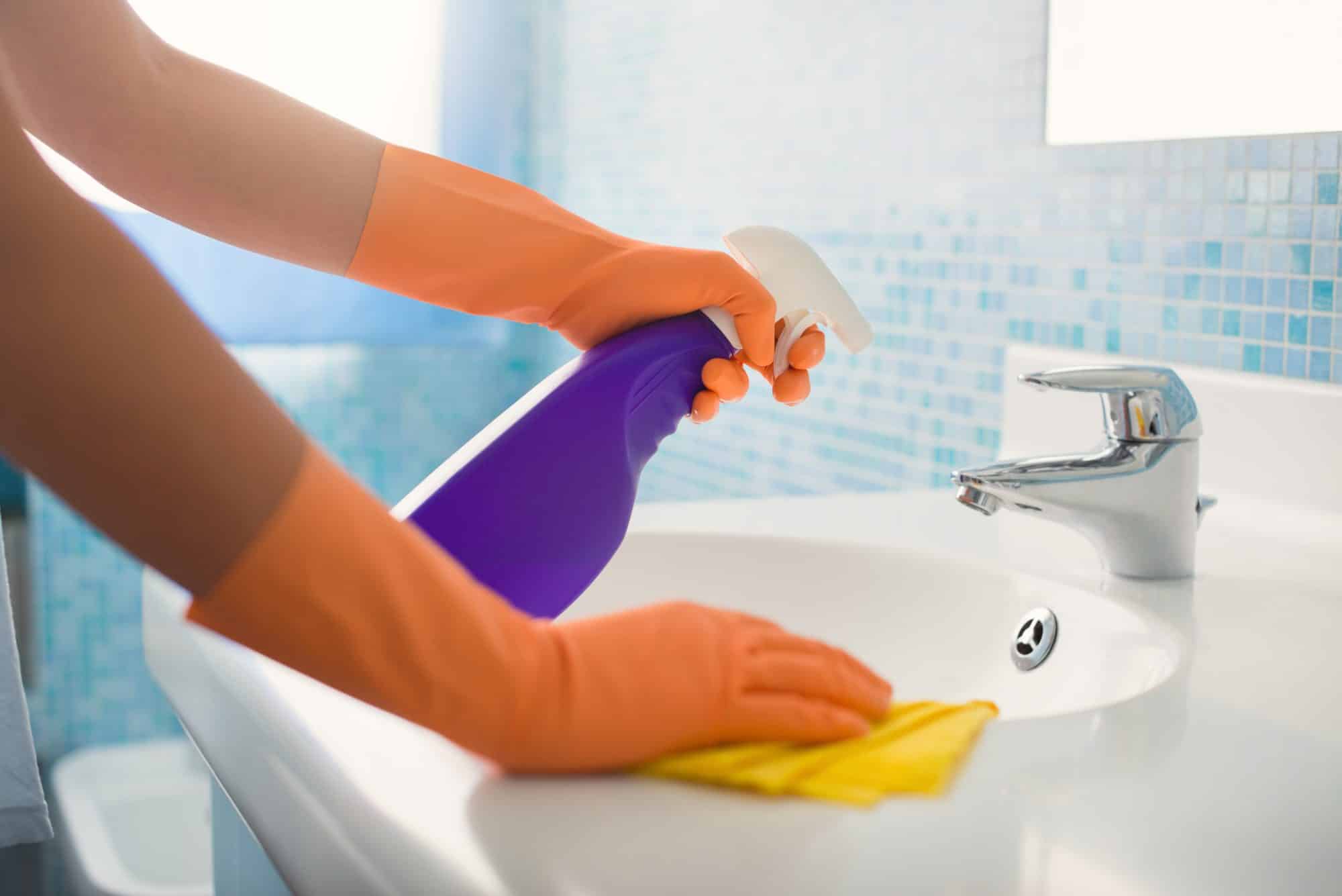 Professional House CleaningSanitize