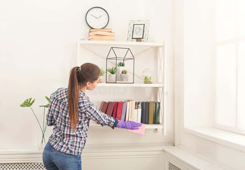 Professional House CleaningBookshelves