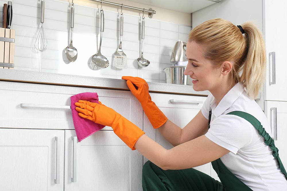 Professional House CleaningCabinets