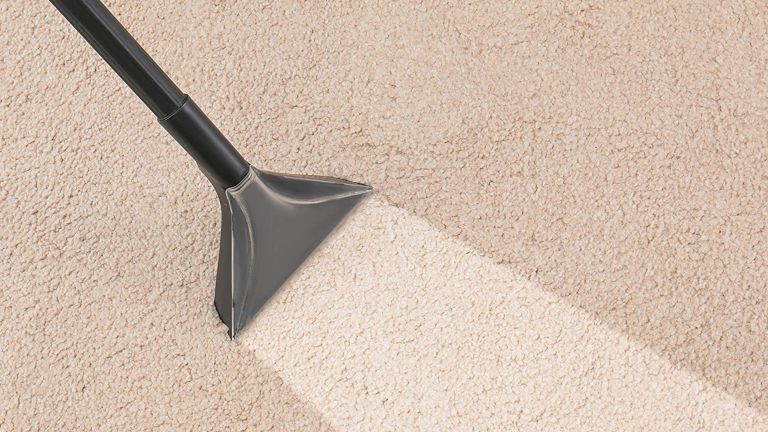 Professional House CleaningCarpets