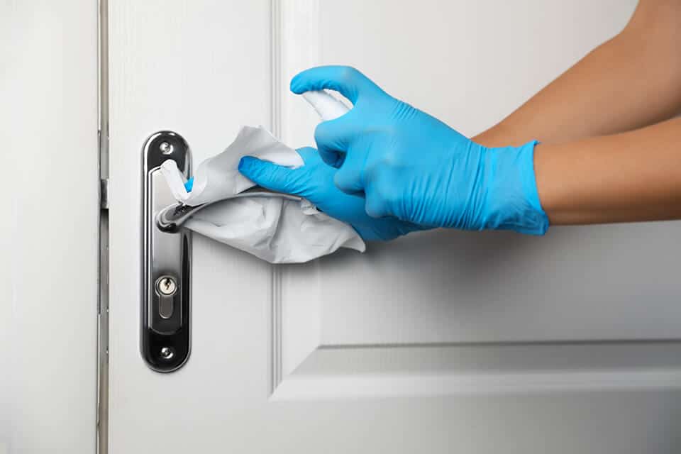 Professional House CleaningDoors & Frames