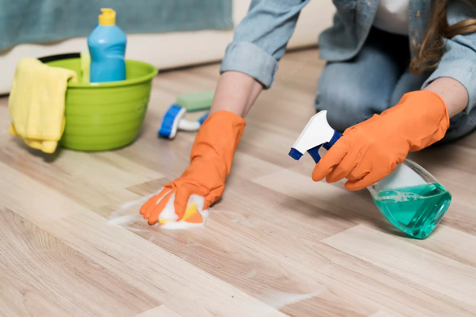 Professional House CleaningScrubbing