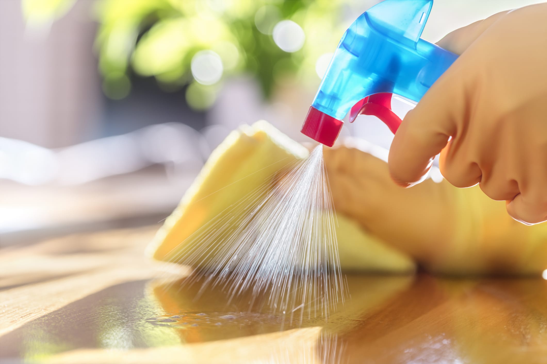 Professional House CleaningDisinfecting