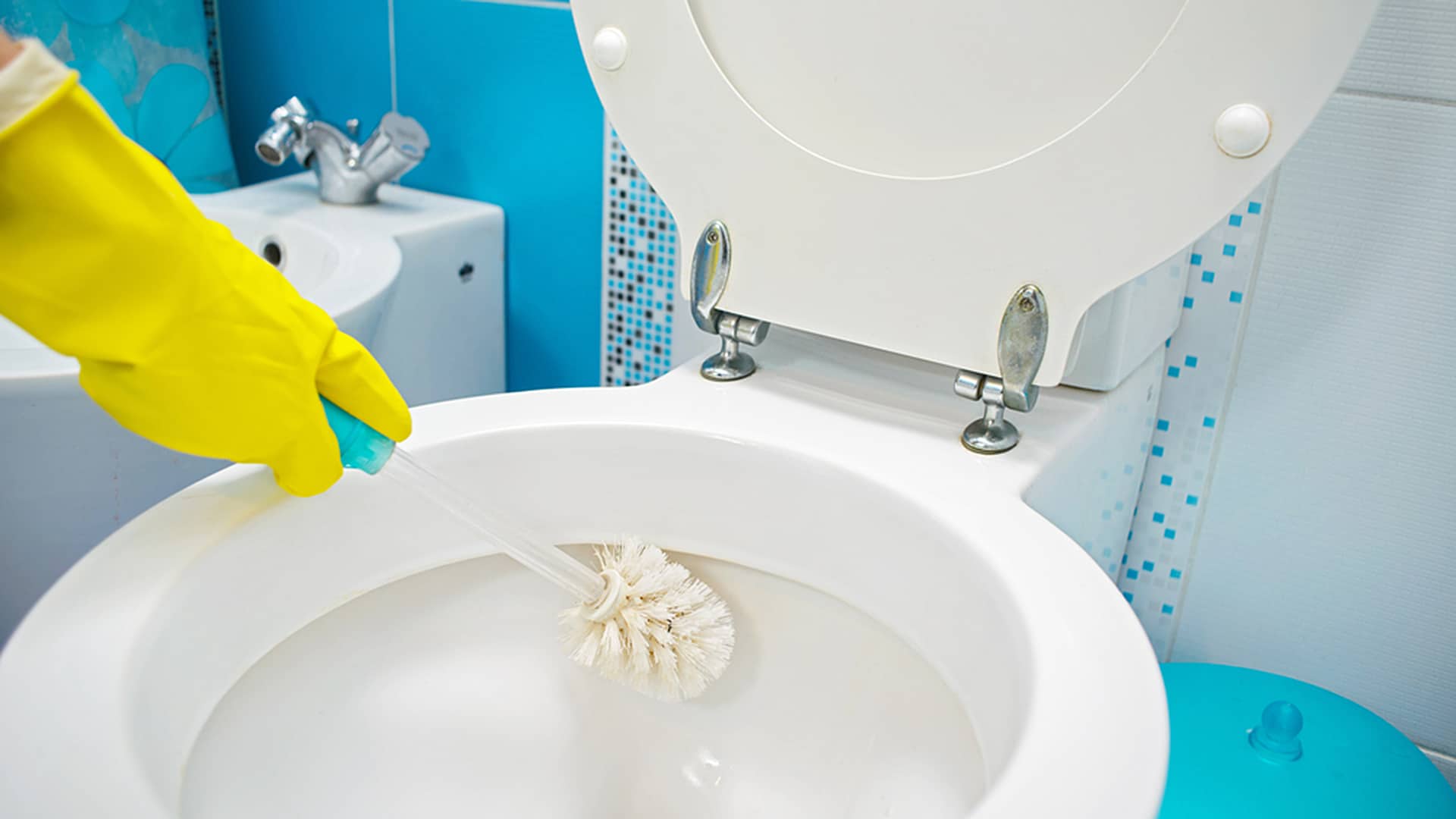 Professional House CleaningToilets