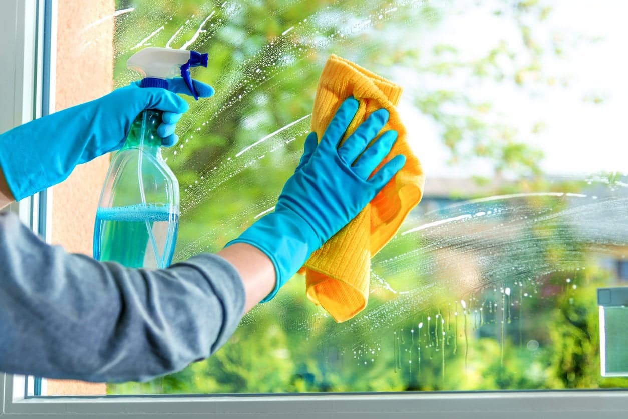 Professional House CleaningWindow Cleaning