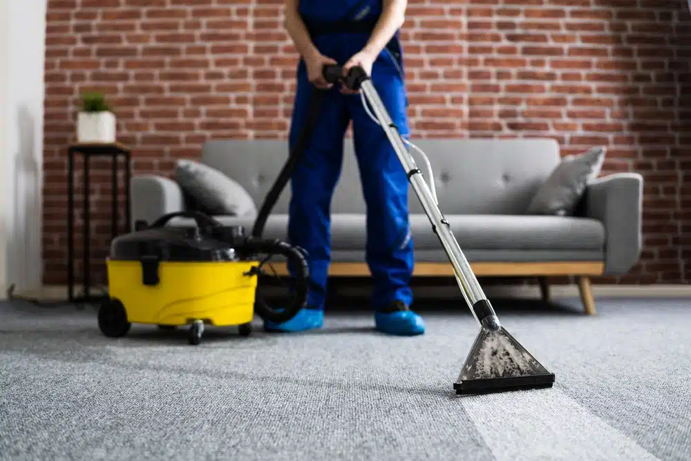 Professional House CleaningCarpet Cleaning