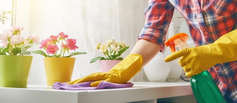 Professional House CleaningSeasonal Cleaning